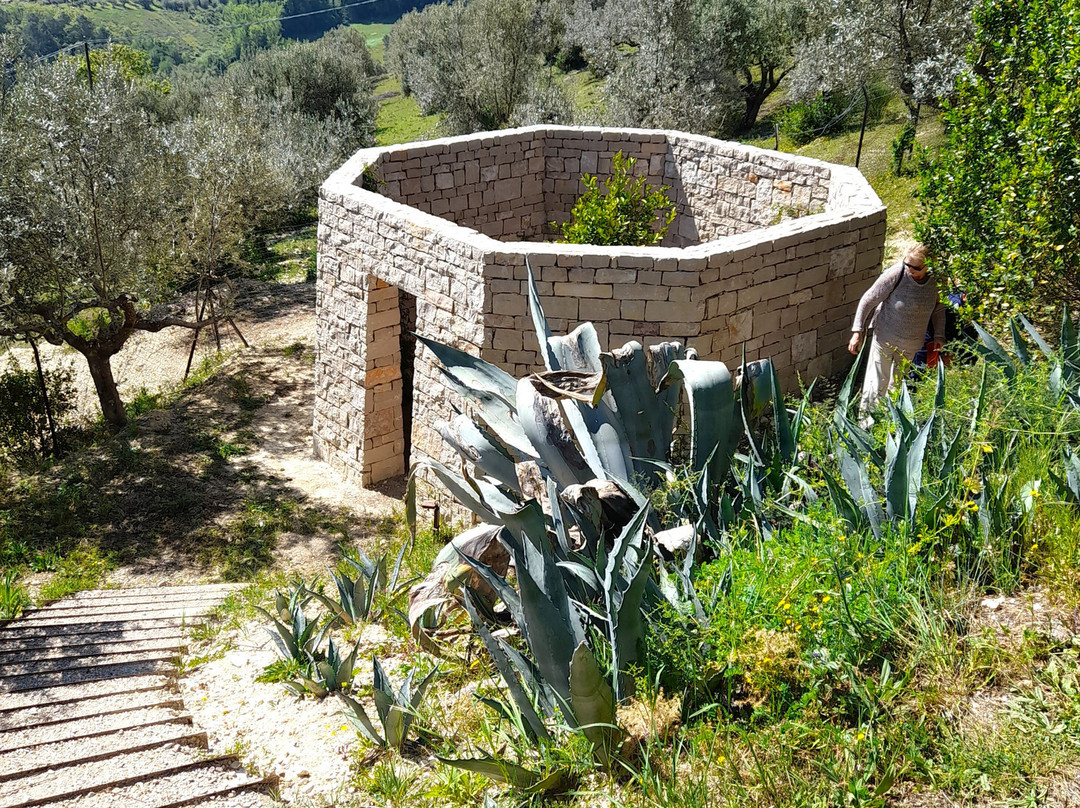 Villa Pianciani主图