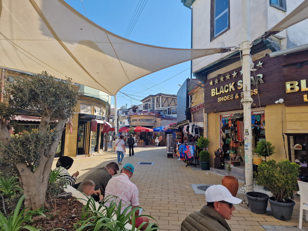 Nicosia Open Market-尼科西亚必去景点