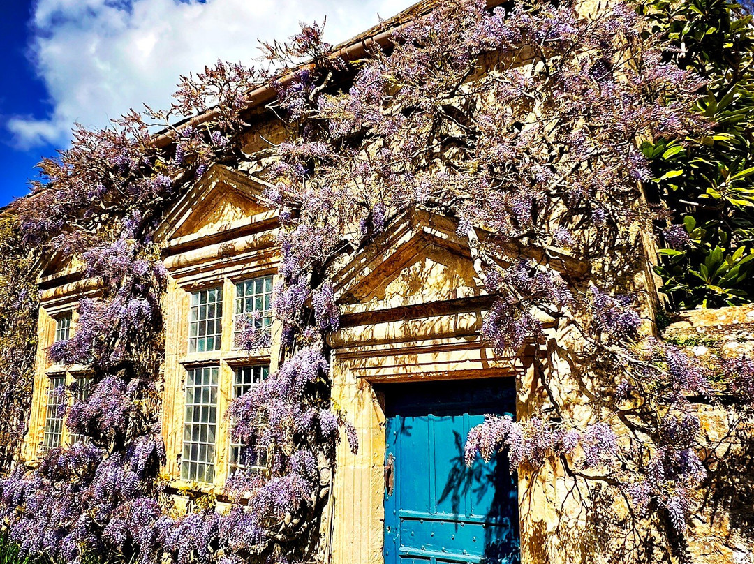 Mapperton House, Gardens & Wildlands-Mapperton必去景点