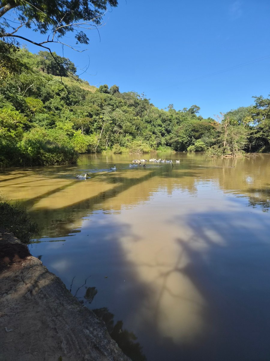 Hotel Fazenda Terra Dos Sonhos-旅行者