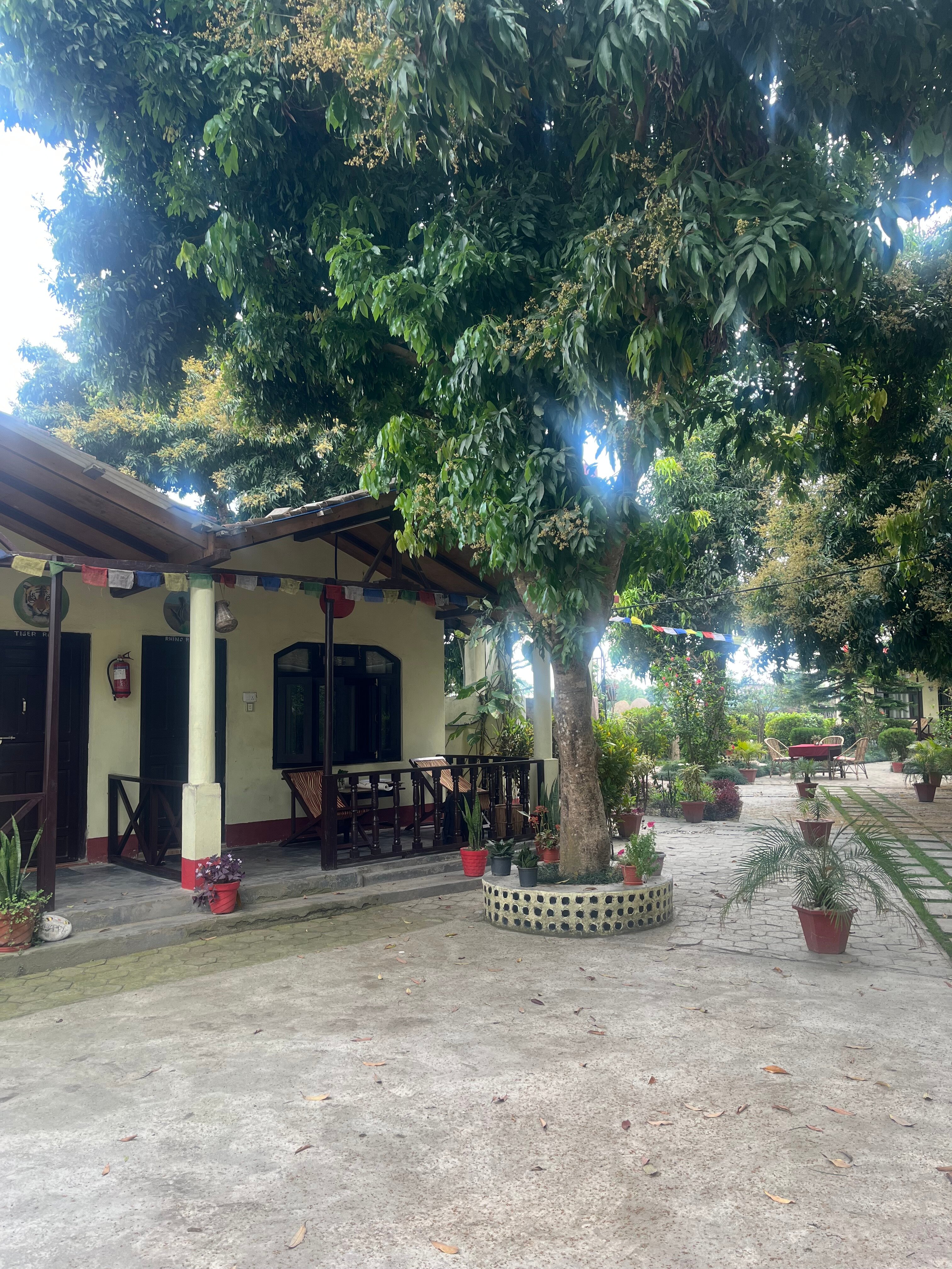 Bardia Homestay Pvt. Ltd.-旅行者