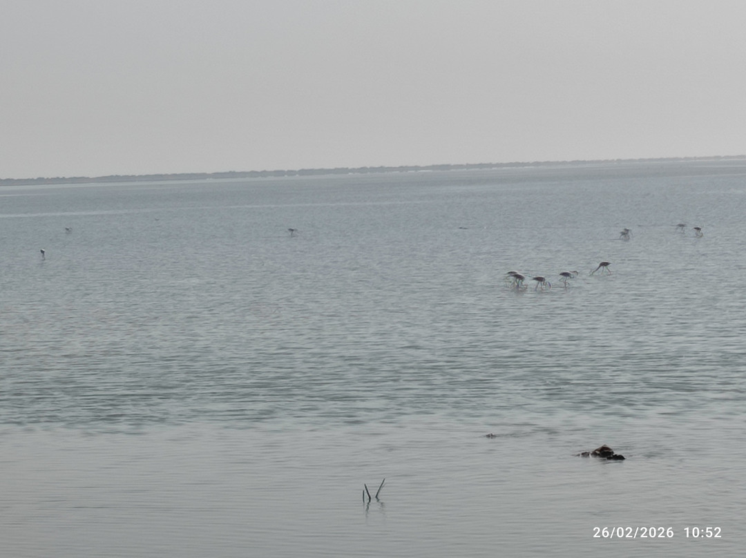 Heaven Of Kutch Khavda To Dholavita Road-Dholavira必去景点