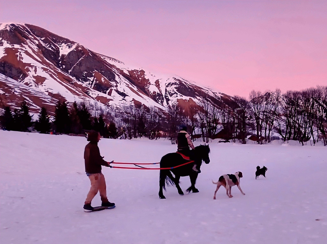 Les crins sauvages-Saint-Sorlin-d'Arves必去景点