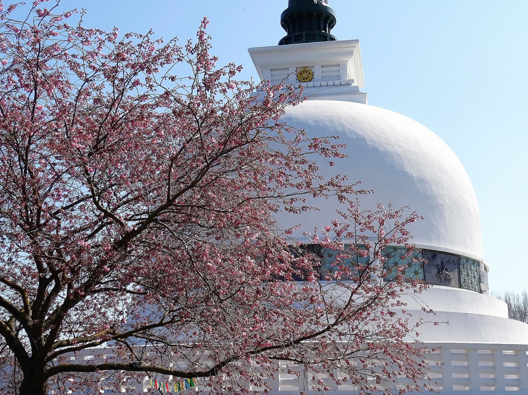 Vienna Peace Pagoda-维也纳必去景点