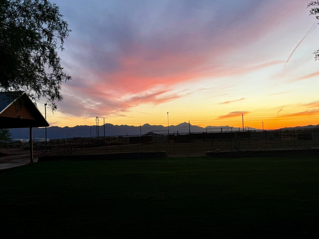 KOLI Equestrian Center-钱德勒必去景点