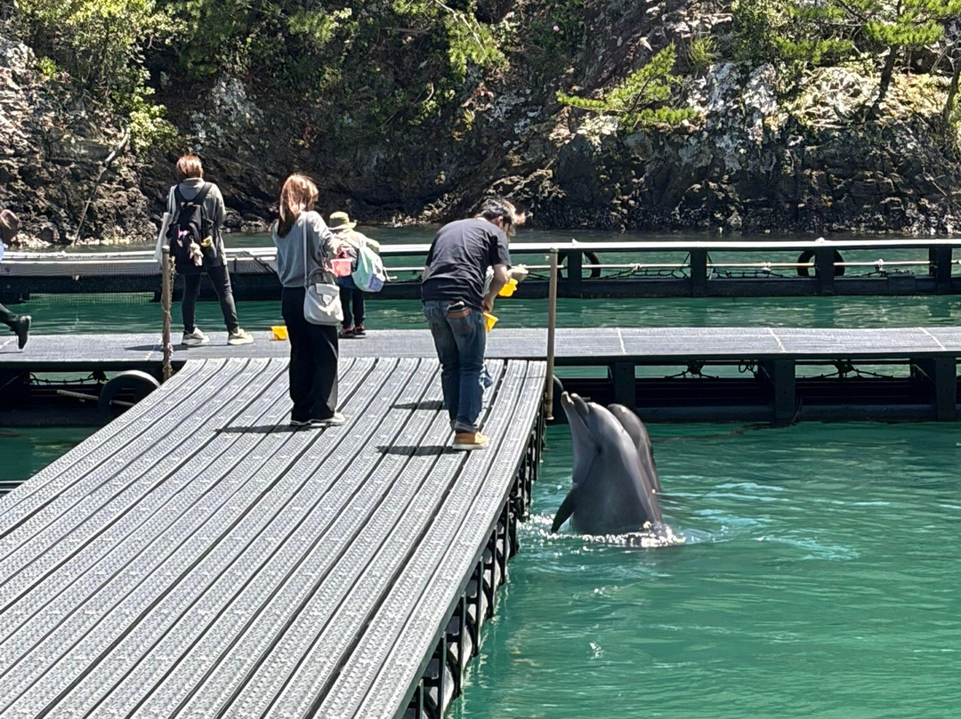 Taiji Whale Museum-太地町必去景点