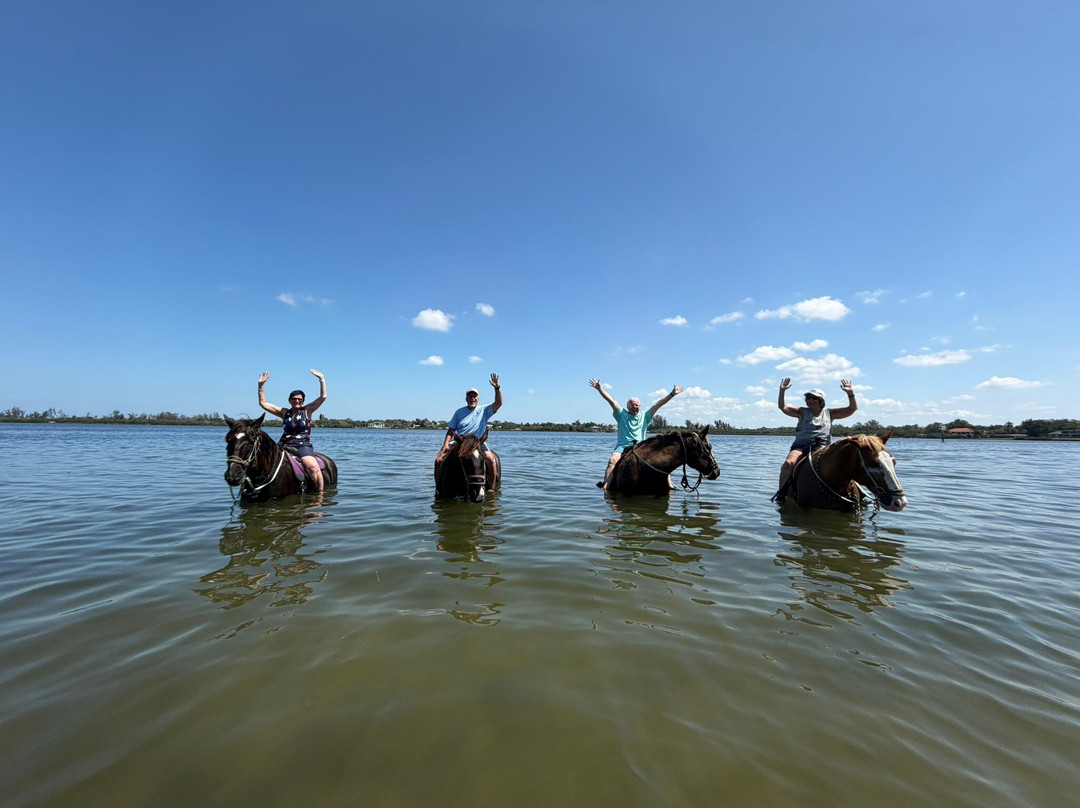 Florida Beach Horses-布雷登顿必去景点