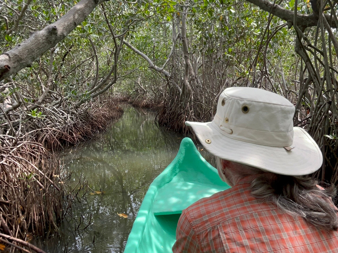 Ecotours Boquilla-卡塔赫纳必去景点