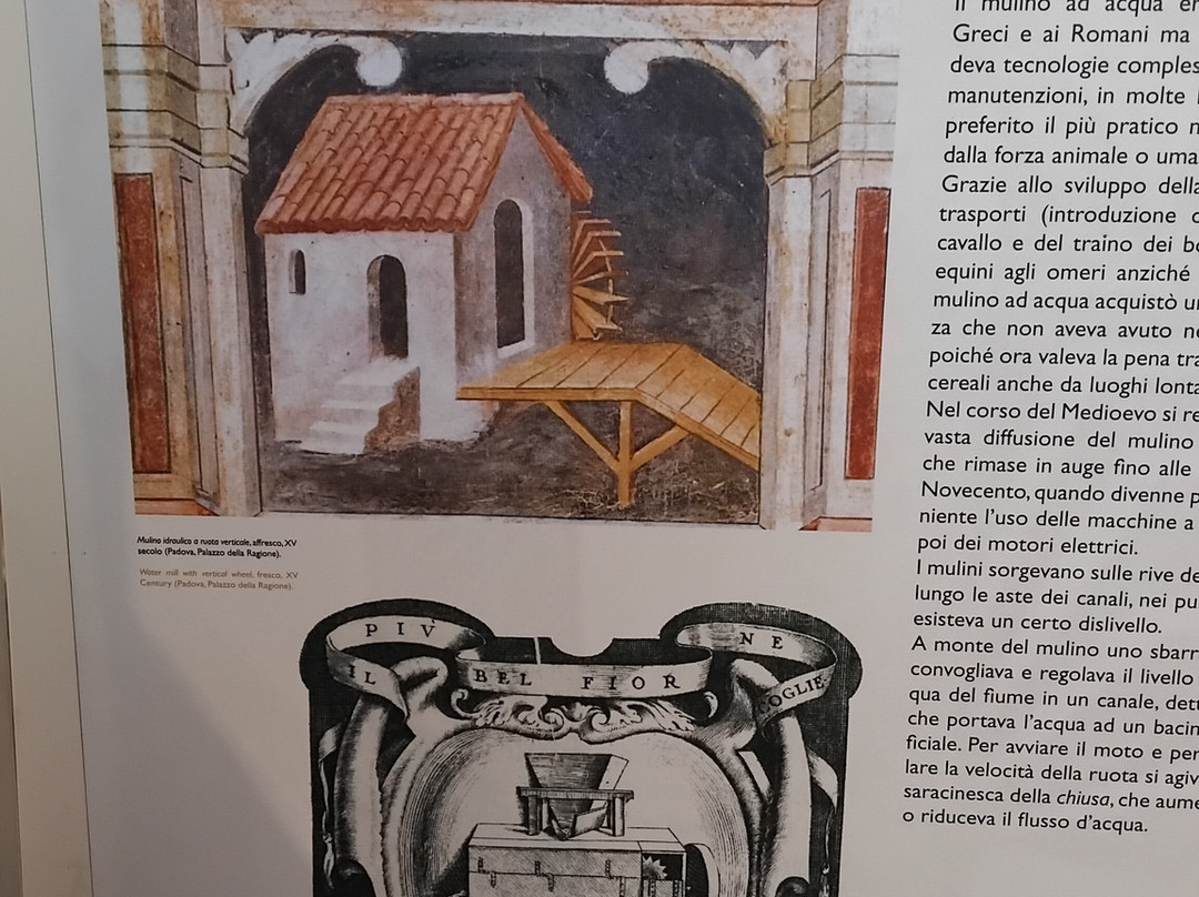 Museo della Pasta-Collecchio必去景点
