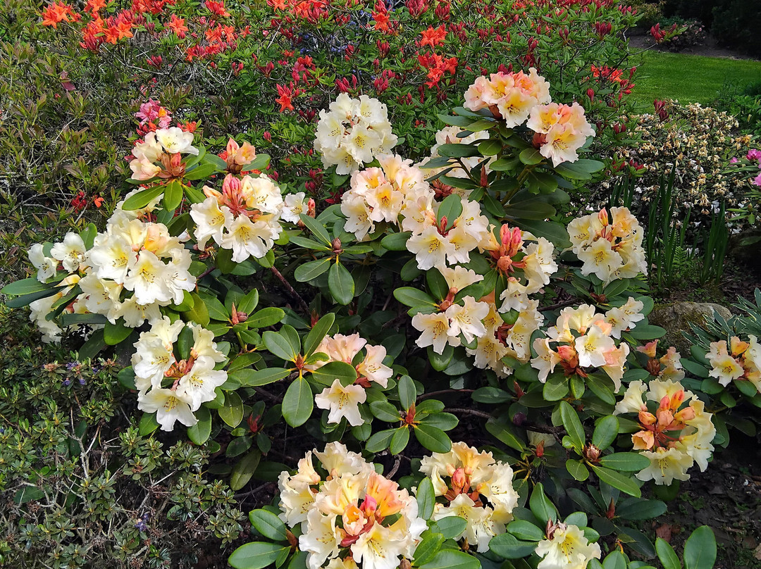 Oakgate Nursery & Garden Centre-Ellerdine必去景点