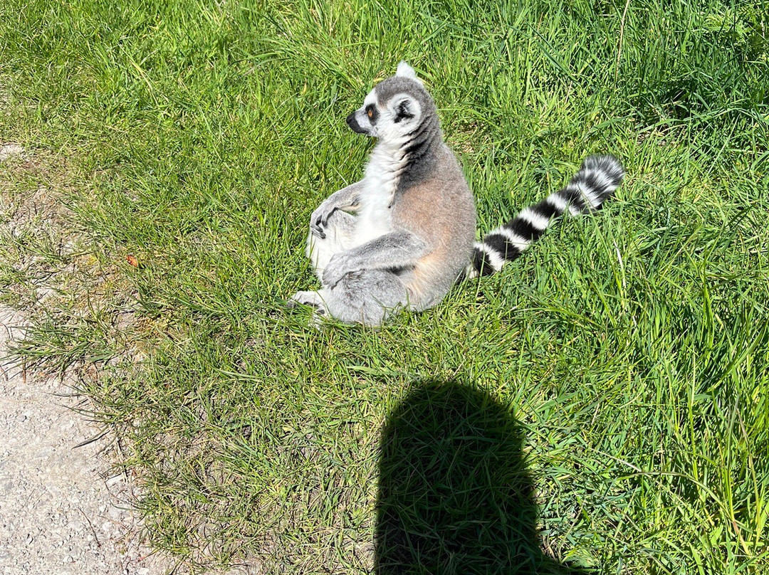 Peak Wildlife Park-Winkhill必去景点
