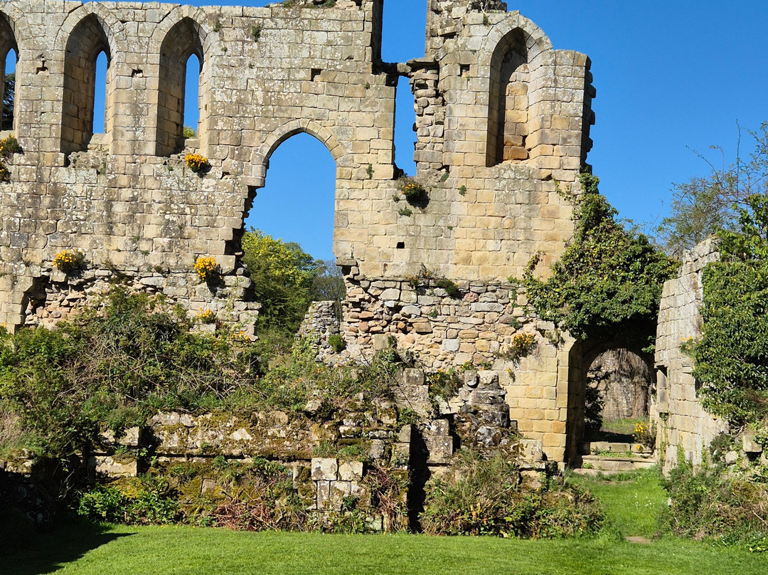 Jervaulx Abbey-Jervaulx必去景点