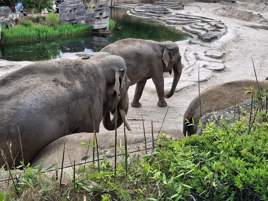 Wildlands Adventure Zoo Emmen-Emmen必去景点