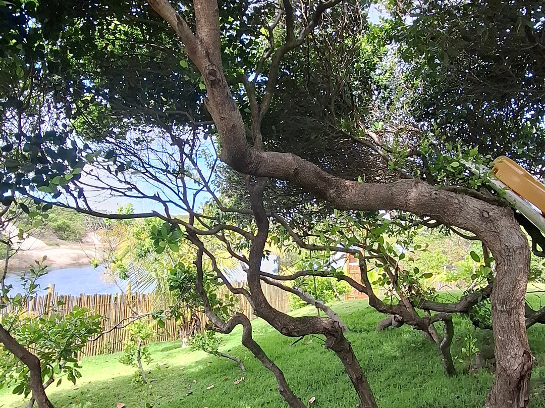农庄沙丘旅馆主图