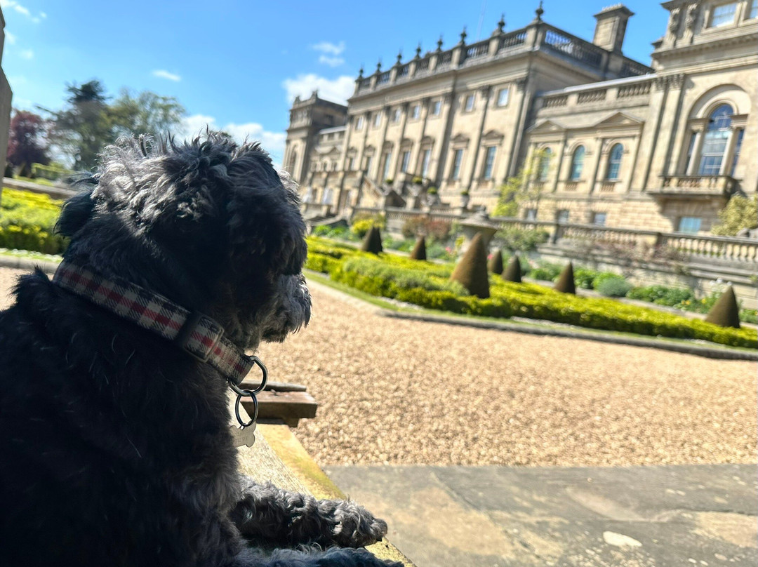 Harewood Holidays
