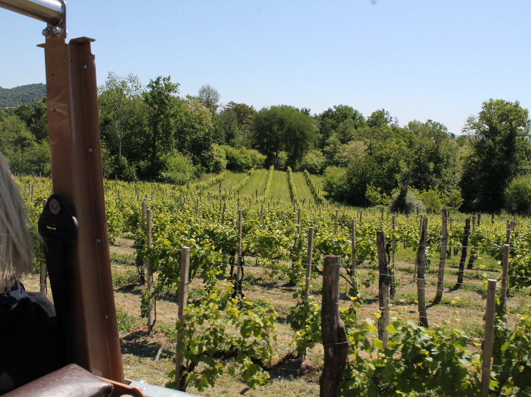 Cantina Bortolomiol - Parco della Filandetta-Valdobbiadene必去景点
