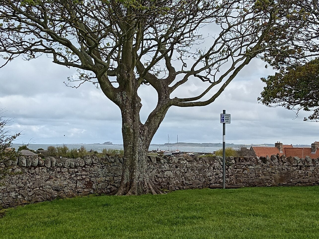 Lindisfarne National Nature Reserve-Holy Island必去景点