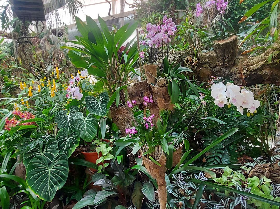 Orquidario de Estepona-埃斯特波纳必去景点