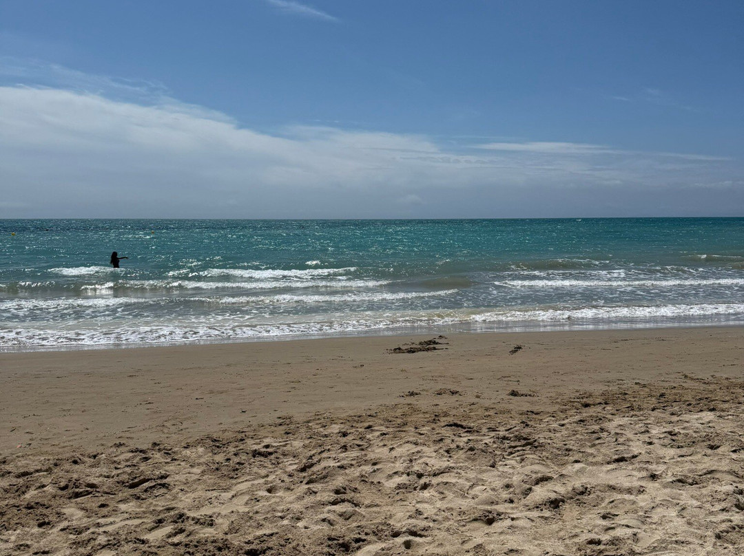 Playa de Los Locos-托雷维耶哈必去景点