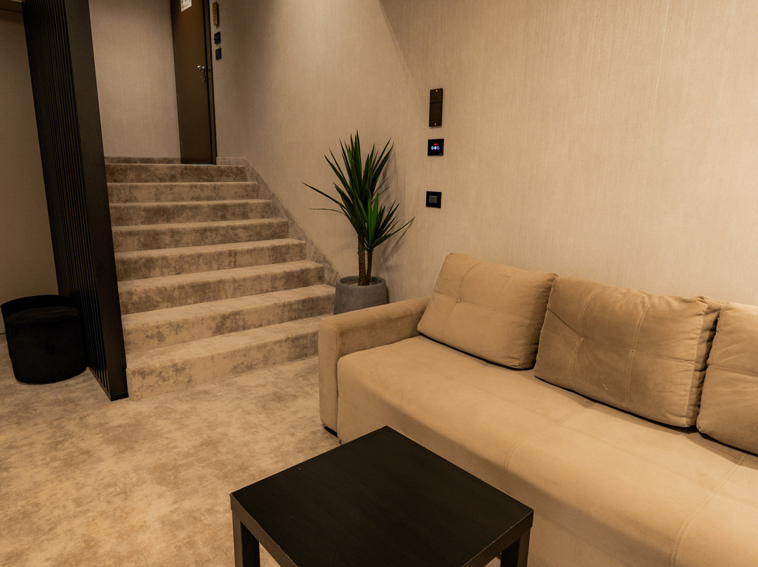 Hotel Roman Maramures - Ski & Spa Resort主图