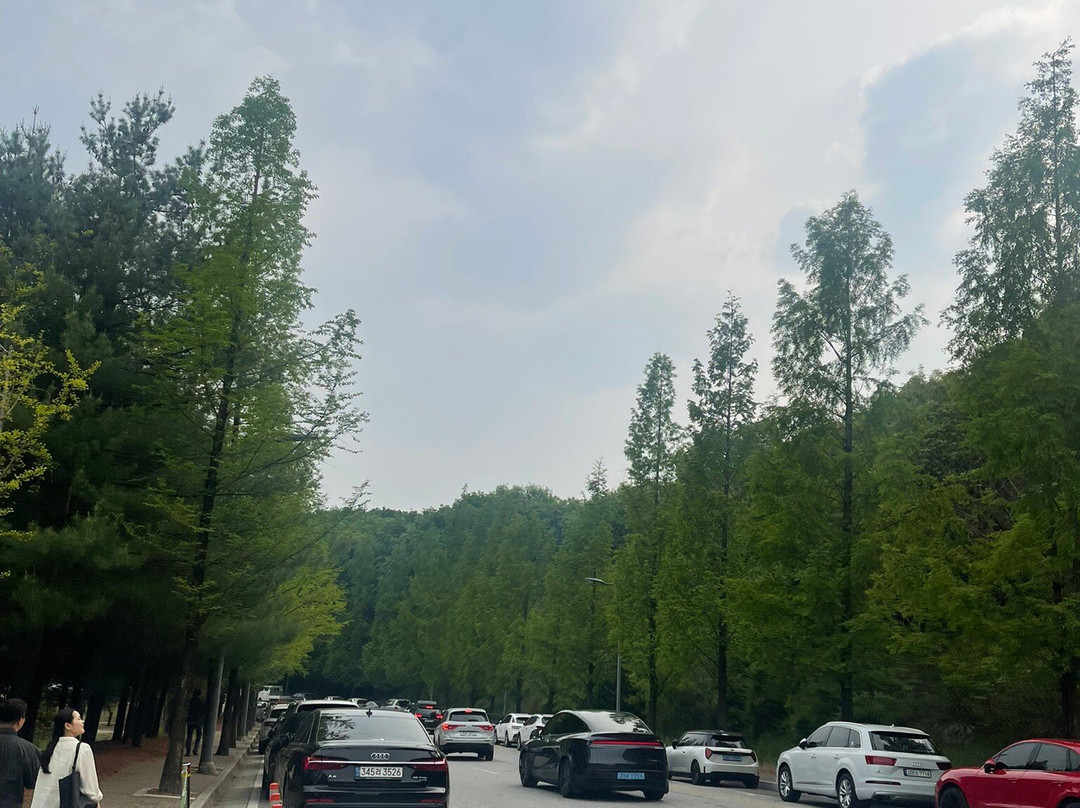 Yeoju Premium Outlets-骊州郡必去景点