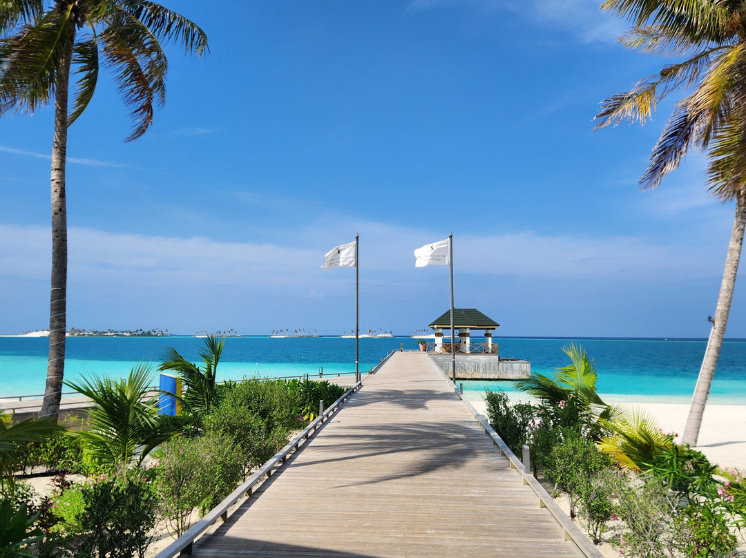 Joy Island Maldives by Cocoon Collection主图