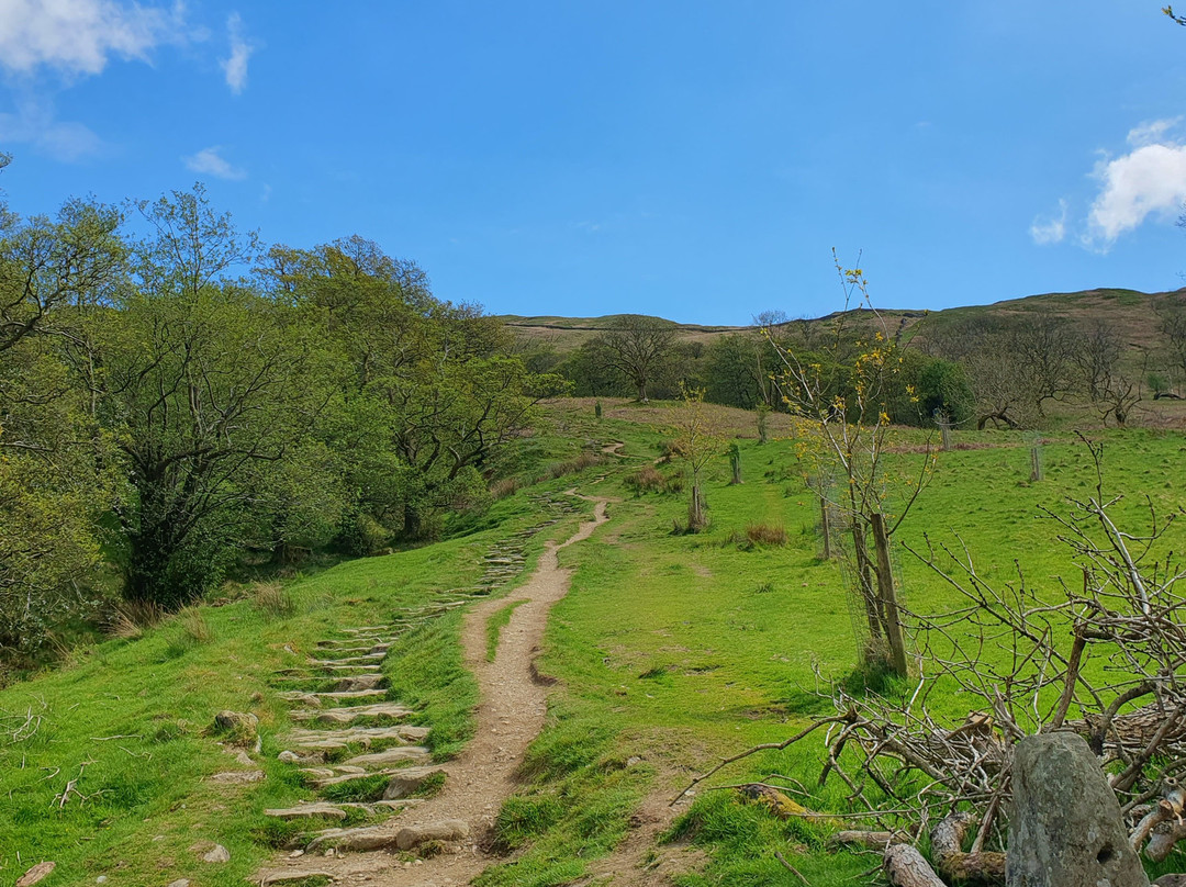 Wansfell Pike-安布赛德必去景点