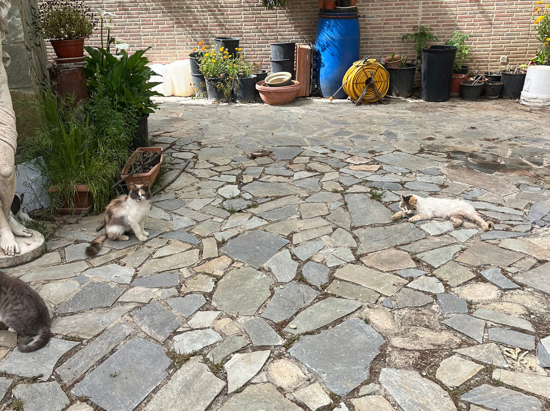Antoniades Winery-Mandria必去景点