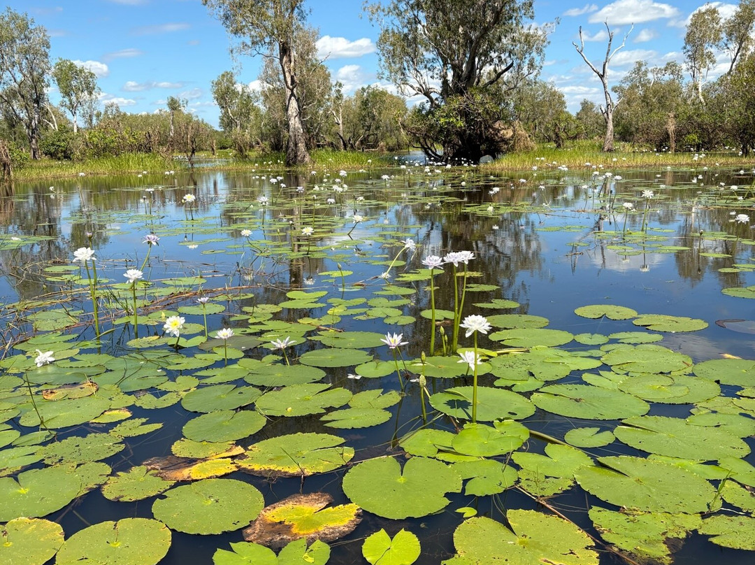 Wildlands Wetlands Safari Cruises-达尔文市必去景点