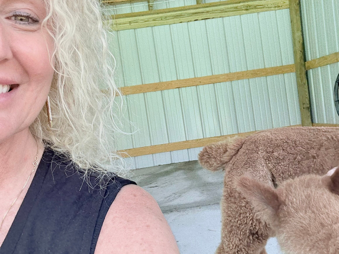 Alpacachino Ranch
