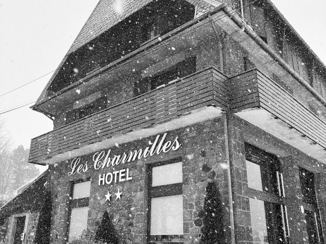 Besse-et-Saint-Anastaise酒店住宿-Hôtel Les Charmilles