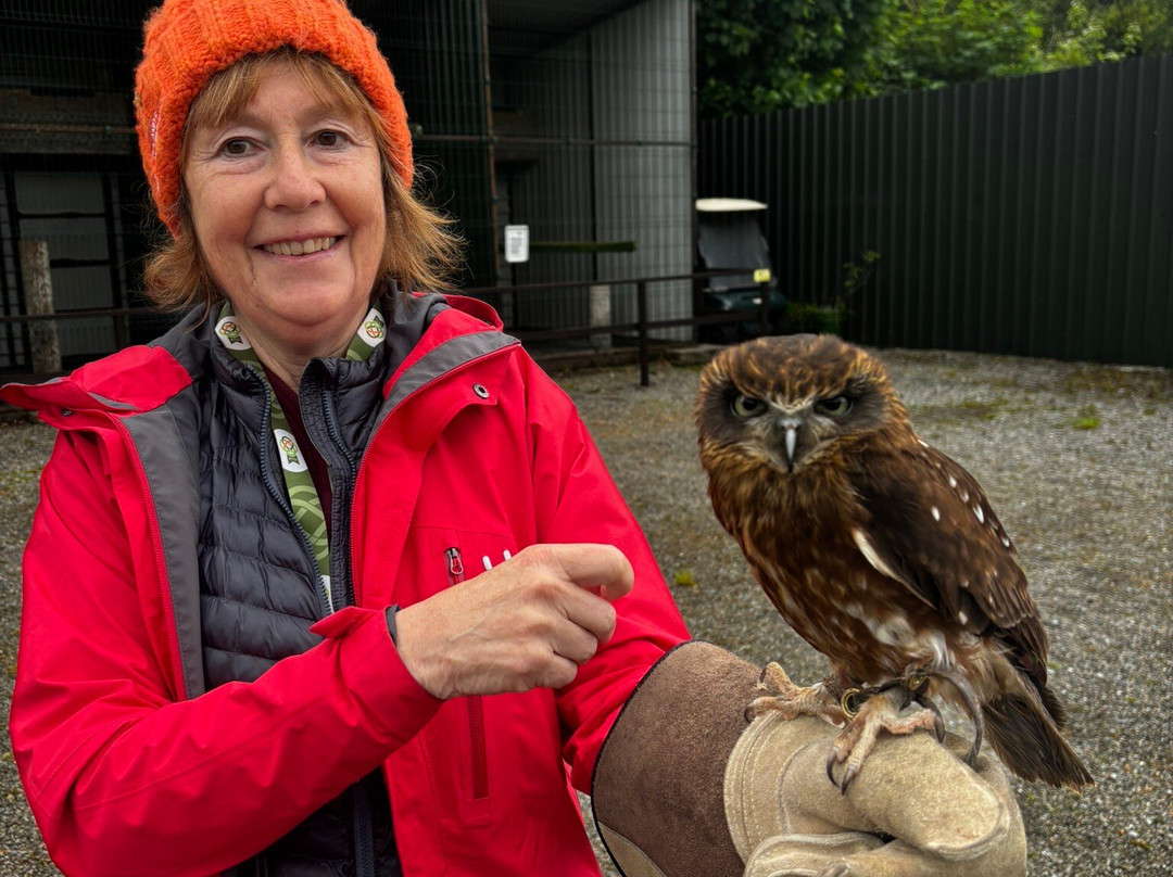 National Bird of Prey Centre-Blessington必去景点