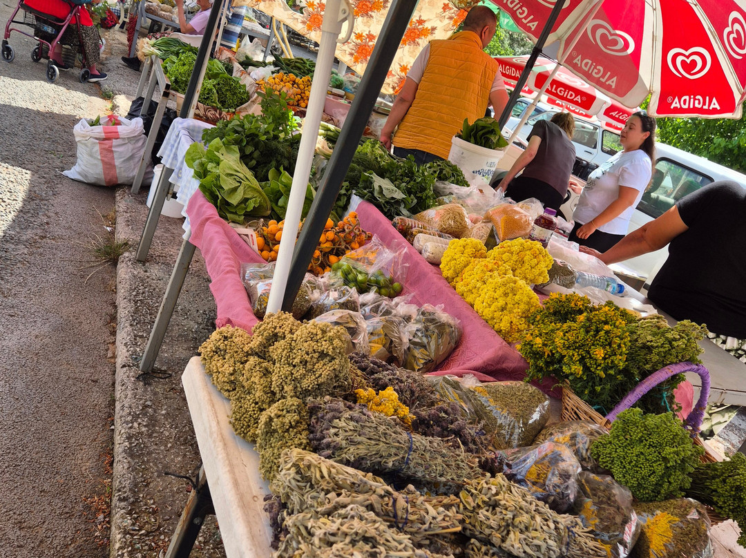 Wednesday market-伊丘每勒必去景点