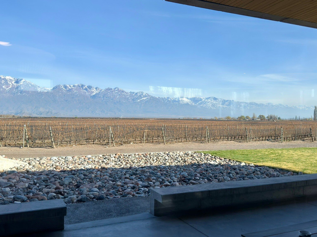 Bodega Zuccardi Valle de Uco-La Consulta必去景点