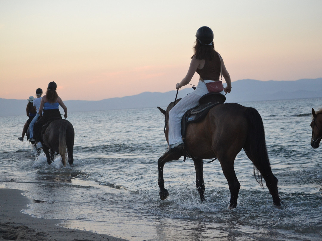 Horse-Ranch Manippos Halkidiki-Kassandra必去景点