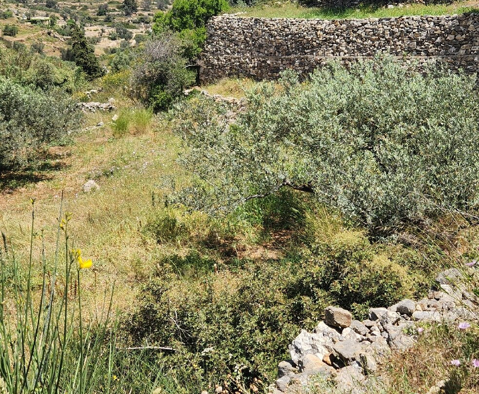 Byzantine Road-莱福克斯必去景点