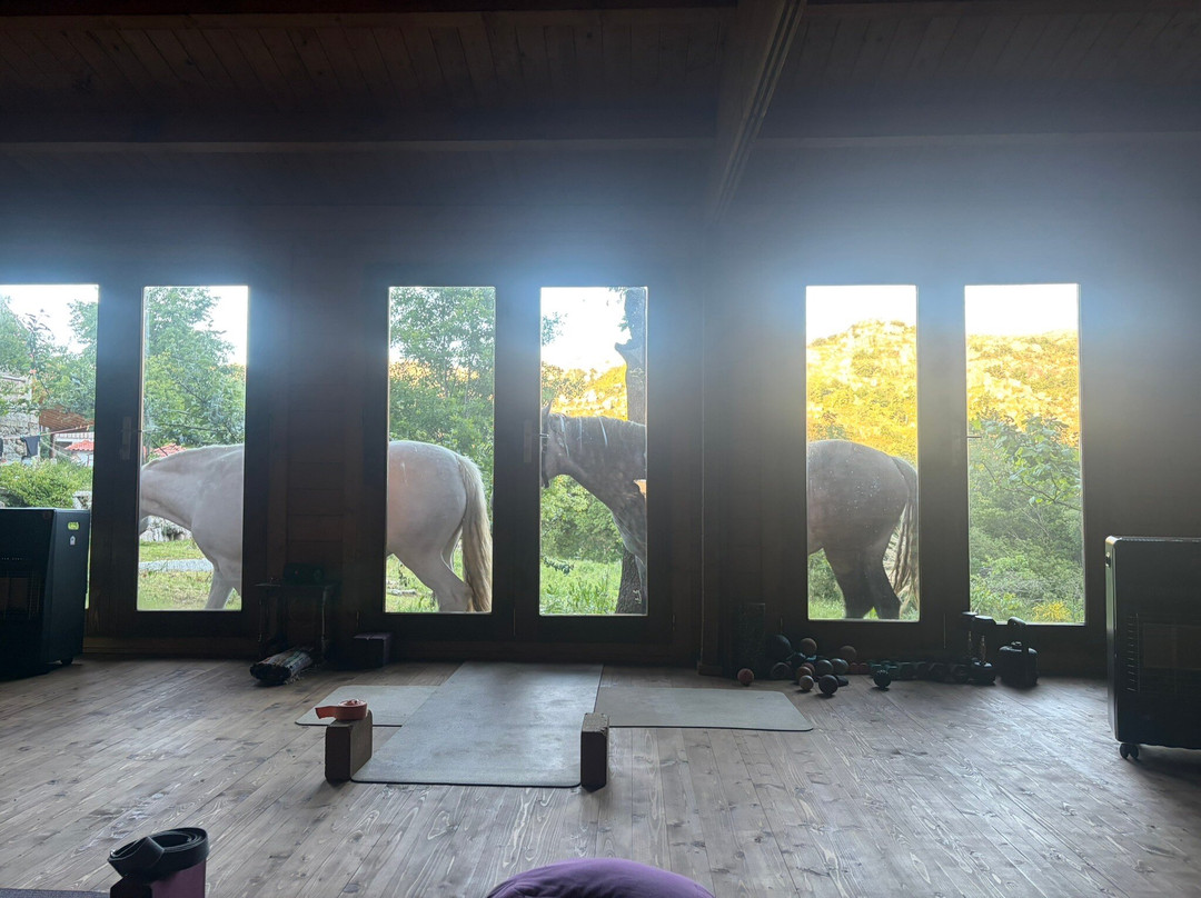 Ecotura, Ecotourism and Nature Retreats-Castro Laboreiro必去景点