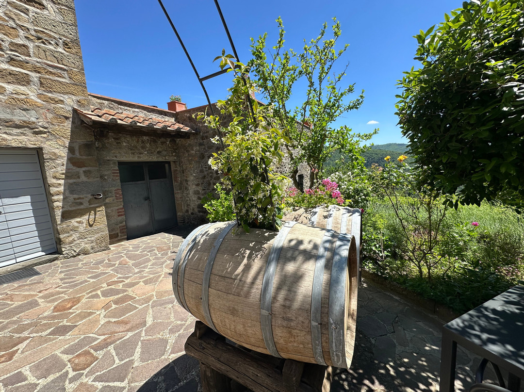 Azienda Agricola Casanova Di Bricciano-加约莱因基安蒂必去景点
