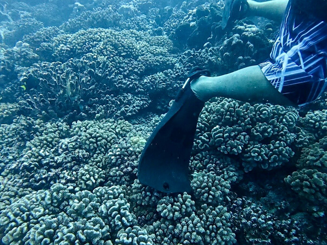 TOPDIVE Fakarava-Fakarava必去景点