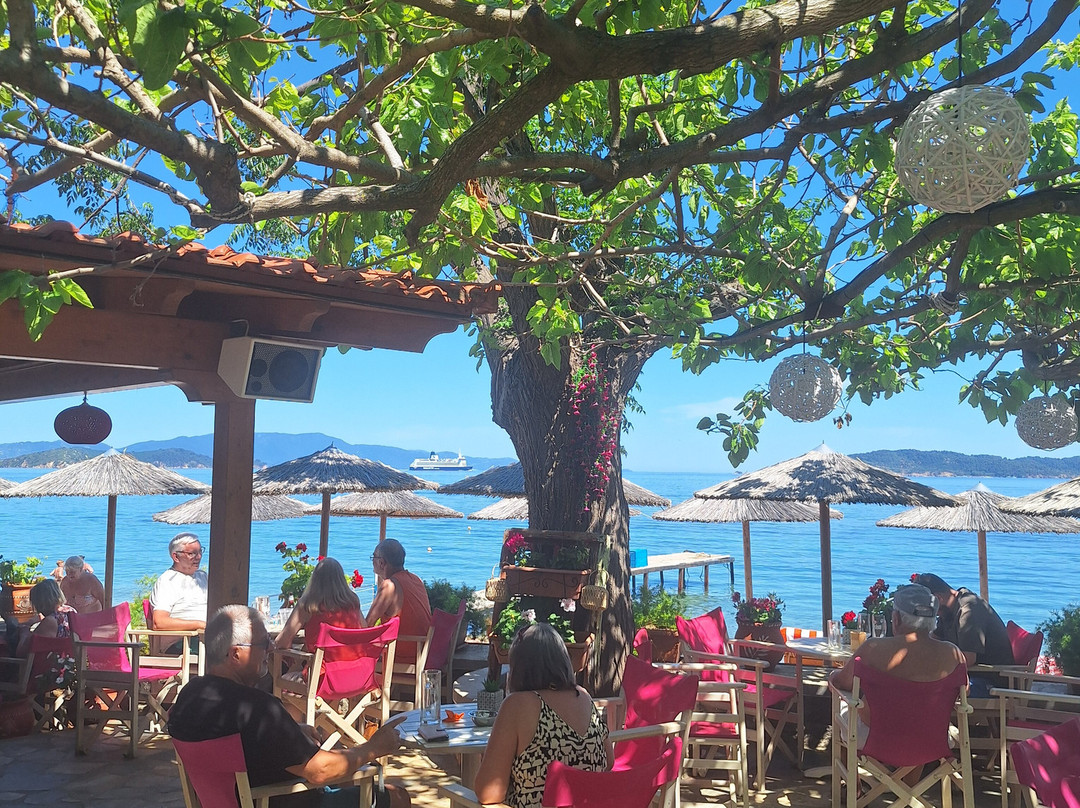 Mojo Bar by the Sea-Skiathos Town必去景点