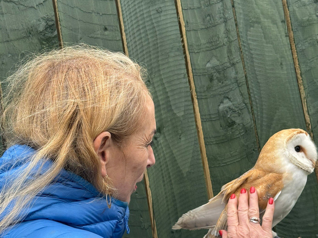 Fiáin Experiences - Wild Atlantic Wildlife Park-丁格尔必去景点