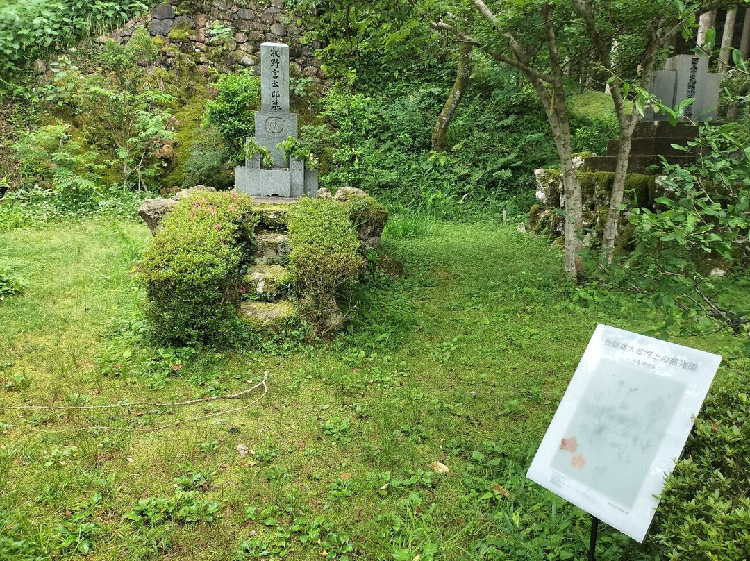Makino Park-佐川町必去景点