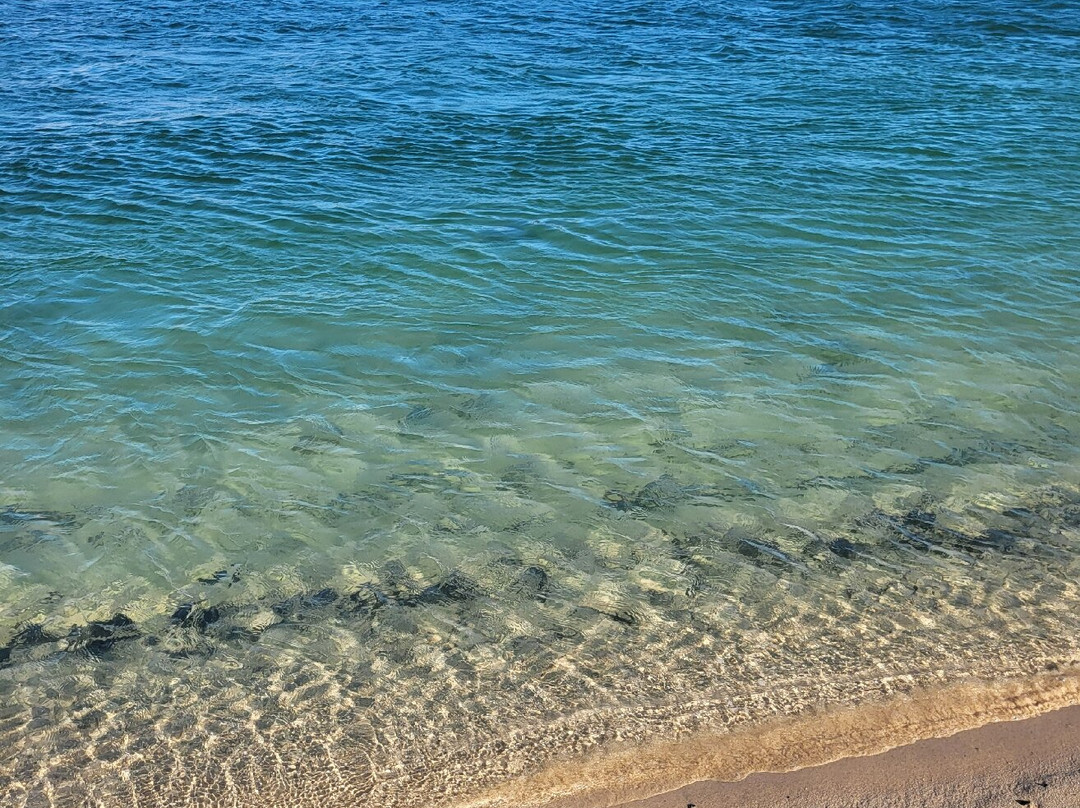 Porthkidney Sands-Lelant必去景点