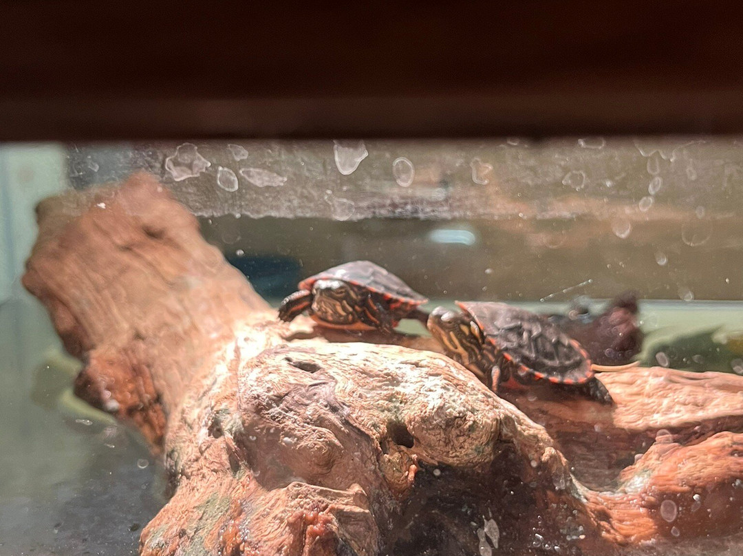 Indian Creek Zoo-Lambertville必去景点