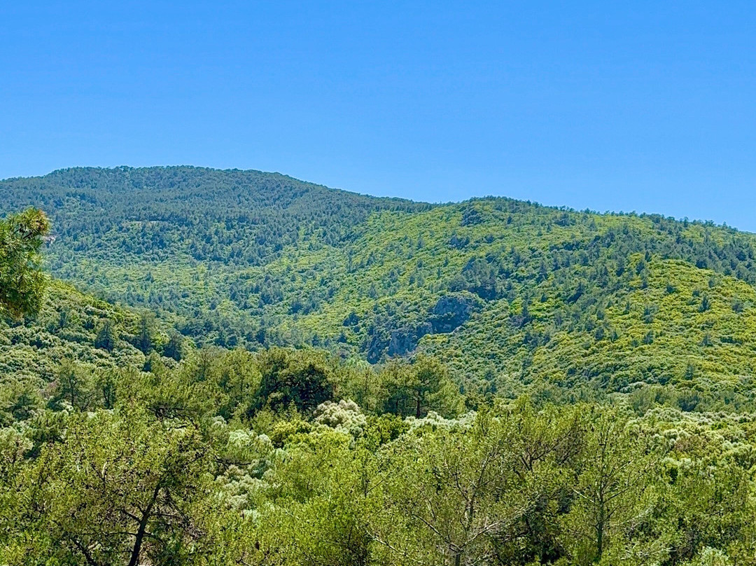 Guzelcamli National Park-艾登必去景点