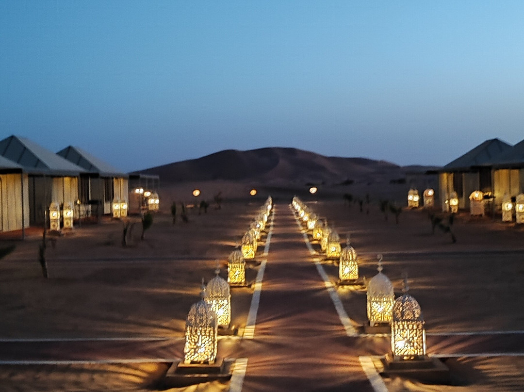 Camel Ride Trips-非斯必去景点