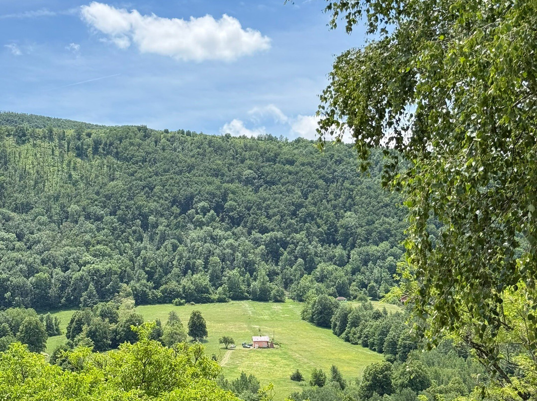 Serbia Inspired Tours-贝尔格莱德必去景点