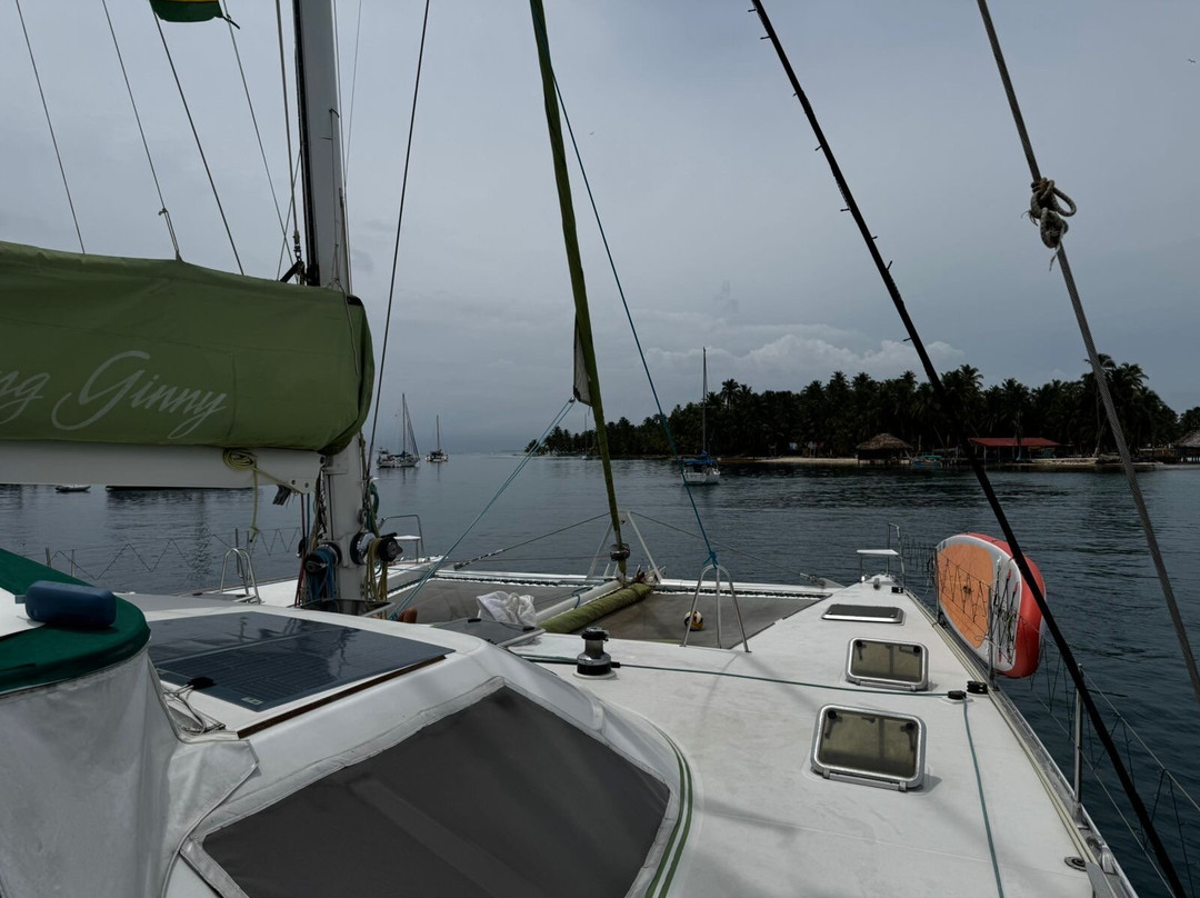 Flying Ginny Catamaran Charter-埃尔波韦尼尔必去景点