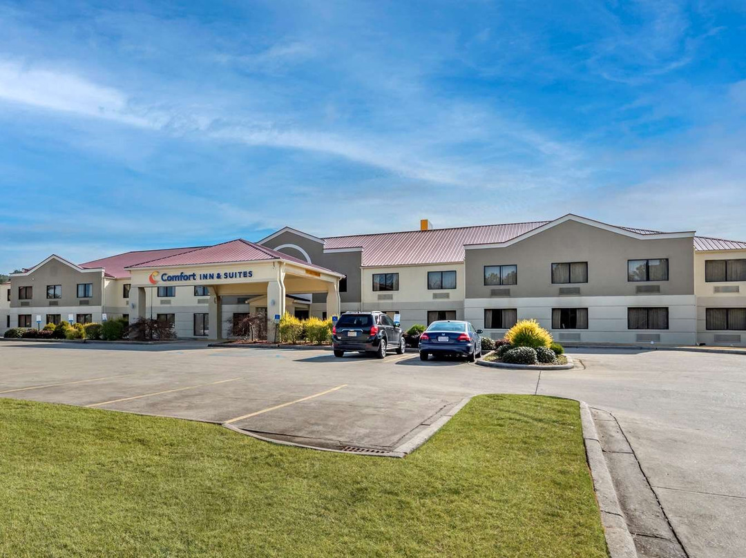 Trussville酒店住宿-Comfort Inn & Suites Leeds I-20