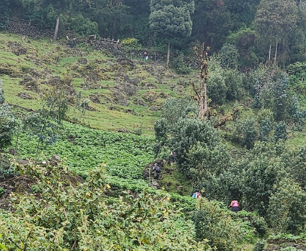 Karisoke Research Center - Dian Fossey Camp-Ruhengeri必去景点
